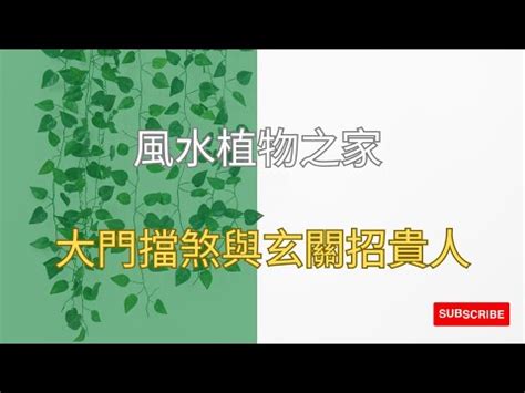 七里香擋煞|【七里香招陰嗎】招好運還是招陰氣？解密家中「七里香」的風水。